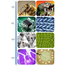 Load image into Gallery viewer, TBD05546819_8.jpg@df48de16e680d6429251e2a50764d82c