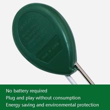 Load image into Gallery viewer, TBD05565195_7.jpg@d03695a426fc8115ac4a2a6f46625c14