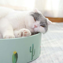 Load image into Gallery viewer, TBD0556526807_B6.jpg@dec0f43cbb8500a09de487babbfa61e9