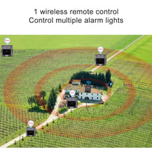 Load image into Gallery viewer, TBD05573239_10.jpg@122e2a435a06af6dd692f1fe427daff1