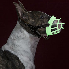 Load image into Gallery viewer, TBD0561751805_B7.jpg@2b91ecfbd18d441ecab0c0ff17936045