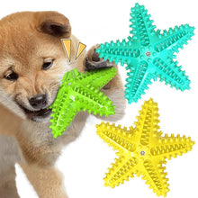 Load image into Gallery viewer, TBD0565569801_B8.jpg@98329a2e18c207b7d7d4e9728ebe2dfb