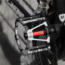 Load image into Gallery viewer, TBD0572071701_B6.jpg@deefa8891ae8ea58267f4835221ede31