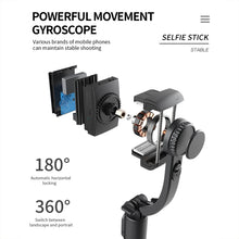 Load image into Gallery viewer, TBD05765208_B5.jpg@ad59cfd74e001e3a8455d6dce20433a1