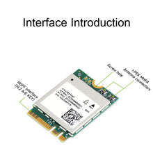 Load image into Gallery viewer, TBD05765317_8.jpg@589efd3f31bbd24008bb49ec48cd5d53