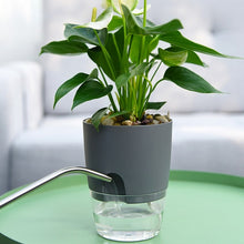 Load image into Gallery viewer, TBD0583442604B_1.jpg@e2b3b2dadee9b374345bdf93456bc013