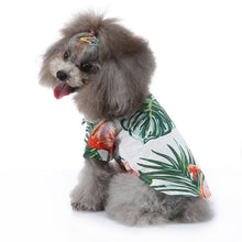 Load image into Gallery viewer, TBD0583445102I.jpg@646f5853289032dfa4b2fdaabf4946e7