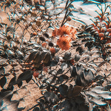 Load image into Gallery viewer, TBD0590356801_B5.jpg@f0effaec4badd213a307789870c98cfd