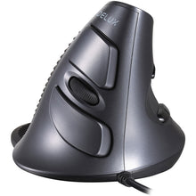 Load image into Gallery viewer, TBD0595289501A.jpg@890867792af4ba7e214a2537b52e02fd