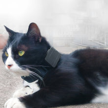 Load image into Gallery viewer, TBD05977898_6.jpg@8e5f17b280ebd96b0cce08c8b2ffd036