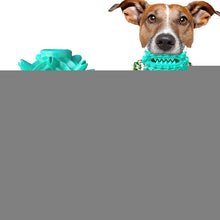 Load image into Gallery viewer, TBD0600396901A.jpg@6503141177c719c481aad65435e79516