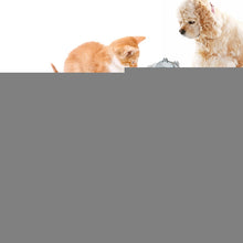 Load image into Gallery viewer, TBD0600412601A.jpg@ff1b3b03442ef5c251f5d1e41c0b50be