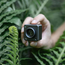 Load image into Gallery viewer, TBD06006915_2.jpg@cb5bd4f8034acb20f77e977fb99c0614