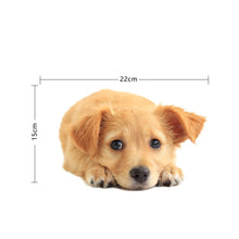 Load image into Gallery viewer, TBD0601614001_1.jpg@8f5fe944453f12572ed6af638e437b4e