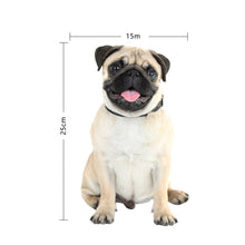 Load image into Gallery viewer, TBD0601614005_1.jpg@1f43126f9494204b9f66b590f61ebdec