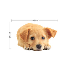 Load image into Gallery viewer, TBD0601614006_1.jpg@bc30e46092770cc640c24dc516298627
