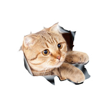 Load image into Gallery viewer, TBD0601614703.jpg@0197ba4696b4c613b22b88f85fb204e5