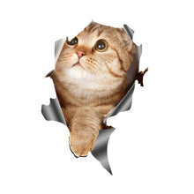 Load image into Gallery viewer, TBD0601614706.jpg@202608417edaeb827d863e7a2ff2778a