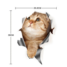 Load image into Gallery viewer, TBD0601614706_1.jpg@2e6c056688b4a9d40407cf9f55baf1a1