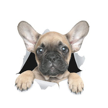 Load image into Gallery viewer, TBD0601636401B.jpg@8e12f3e6528584b829399d2fc04855f7