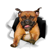 Load image into Gallery viewer, TBD0601636401D.jpg@ab113604cbea2095d3a166640edbfa80