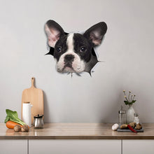 Load image into Gallery viewer, TBD0601636401_B3.jpg@890d87744dafd2712c9db6f912feed8c