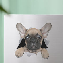 Load image into Gallery viewer, TBD0601636401_B4.jpg@ef753cc41d7e7679a241a5a00c24ab8b