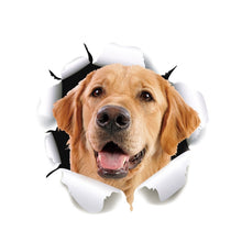 Load image into Gallery viewer, TBD0601636501A.jpg@047728db478b13981b788ee621ac3c68