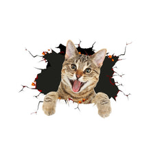 Load image into Gallery viewer, TBD0601636501C.jpg@4ffd44984b338b9909c5f1b3804016c8