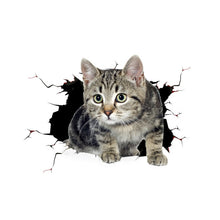 Load image into Gallery viewer, TBD0601636501F.jpg@f48af4e8aecb8bff7cdc83c70f861de0