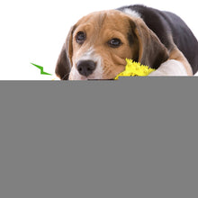 Load image into Gallery viewer, TBD0601730501B.jpg@3c8116b7e687cbbe2200bcaf083338f0