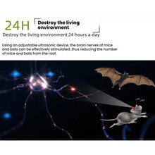 Load image into Gallery viewer, TBD06018981_B6.jpg@a19e4e42474a475f304d71621ef99b2d