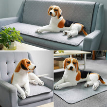 Load image into Gallery viewer, TBD0601913303_B5.jpg@cf95f6a8c32b98326b5a259eddbbda77