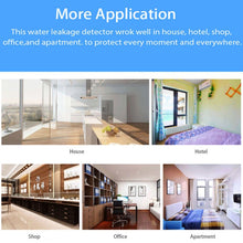 Load image into Gallery viewer, TBD06020221_6.jpg@7c7d21ff50e706a2e0df74d18435d82e