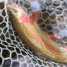 Load image into Gallery viewer, TBD0602253502_B4.jpg@c17770c8c0a414e1ea85530178ddb248