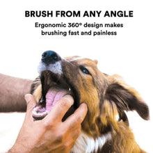 Load image into Gallery viewer, TBD0602580001_B3.jpg@55ae813a9338406b3b86032b0d0b3f45