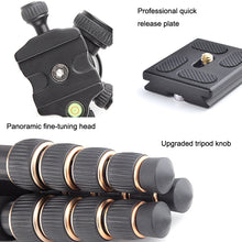 Load image into Gallery viewer, TBD0602795401_B2.jpg@94d83a3eed0840732f0e22c8257f7bbf