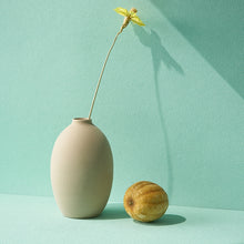 Load image into Gallery viewer, TBD0602926029_B5.jpg@0f72c5326885826fd4c1fa9751971e14