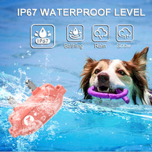 Load image into Gallery viewer, TBD06029306_4.jpg@b8db9adc500308be32ef764008653315