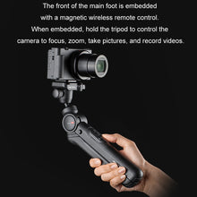 Load image into Gallery viewer, TBD06030822_B2.jpg@39830498eaeecfef927fa0f6db3c5ab4