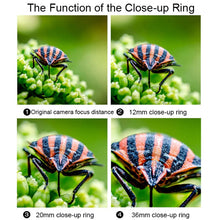 Load image into Gallery viewer, TBD06031582_3.jpg@faf1cd43d78b38fe1ad37d68516a3a25