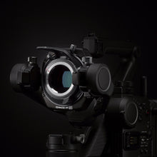 Load image into Gallery viewer, TBD06032729_5.jpg@968760d071a19b876eedebcd0d6f0136