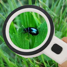 Load image into Gallery viewer, TBD0603426801_B6.jpg@6e958deb6530dcb2615781d3266e3956