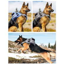 Load image into Gallery viewer, TBD0603513701_B1.jpg@85f7171d4817a12a518af2661613e7c6