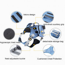 Load image into Gallery viewer, TBD0603513701_B4.jpg@d8337eae25ec6385101dbbc334eb27a5