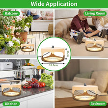 Load image into Gallery viewer, TBD0603516601_B4.jpg@e8ae62bdd2f2e916222eeb8fcc79228d