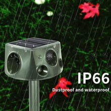 Load image into Gallery viewer, TBD0603516801_B2.jpg@f2fe423a536b7fe7079afde3d93a7b62