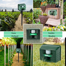 Load image into Gallery viewer, TBD0603520201_B4.jpg@8a2c3f7593e92763be83d8c9d01f03d0