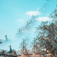 Load image into Gallery viewer, TBD0603522501_B7.jpg@45966855e00cca06af6d91c889fa6a15