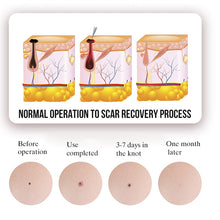 Load image into Gallery viewer, TBD0603543701_B3.jpg@f71a93399e1510e335e826e24e79aa71